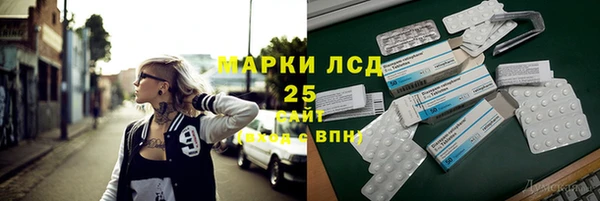 крисы Осинники