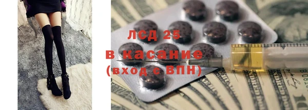 крисы Осинники