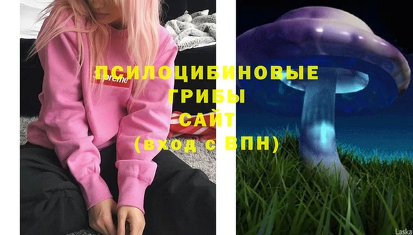 крисы Осинники