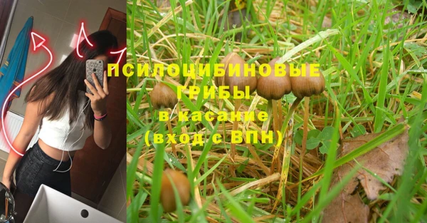 spice Остров