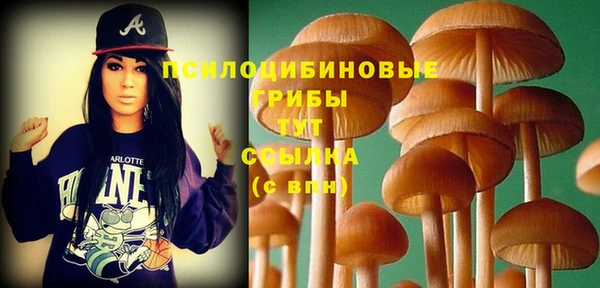 крисы Осинники