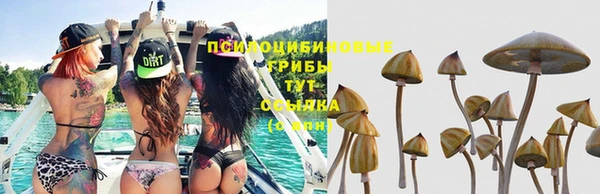 прущие крисы Осташков